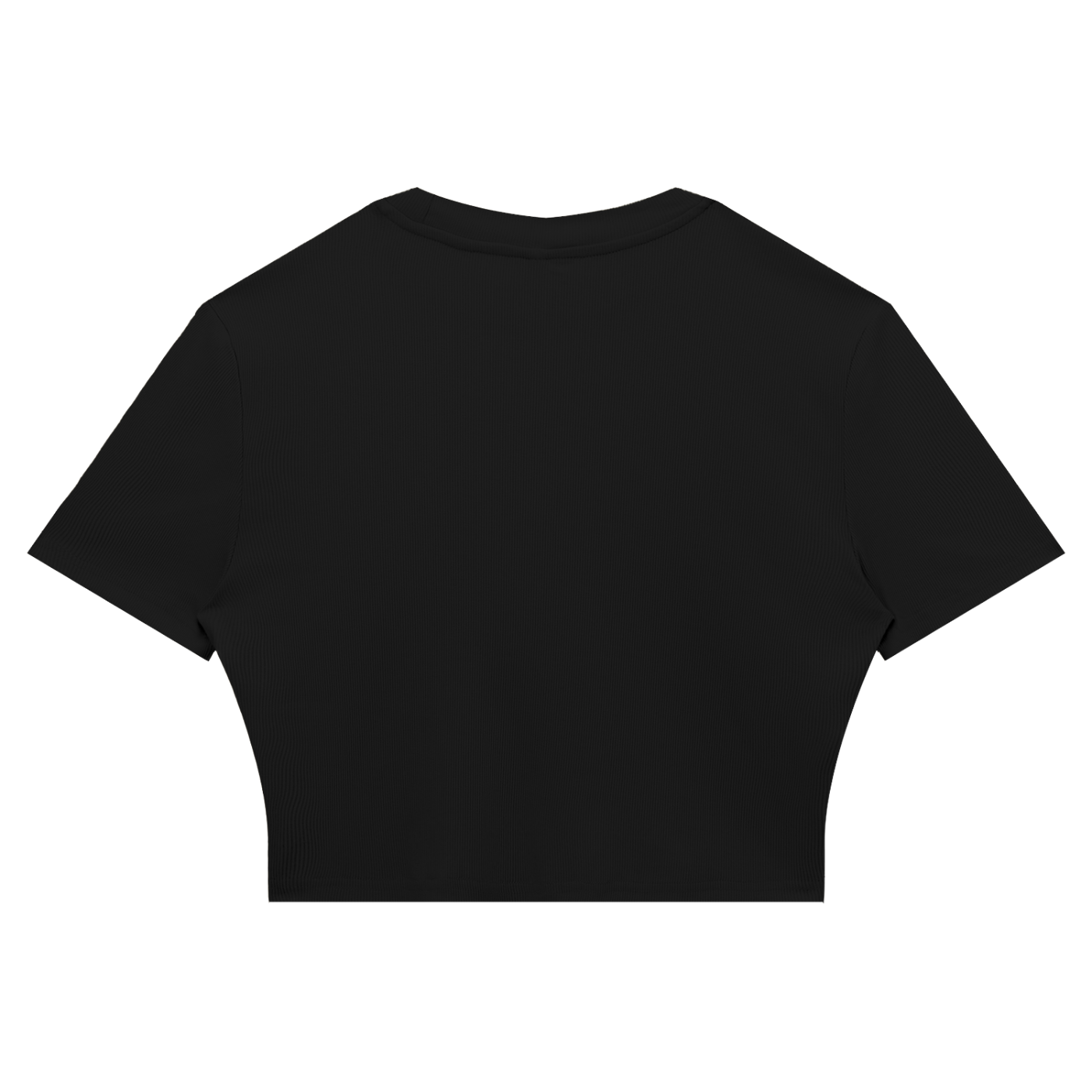 Monaco Women's Slim Ribbed Crop T-Shirt